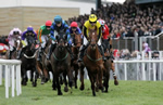 Down Royal Racecourse